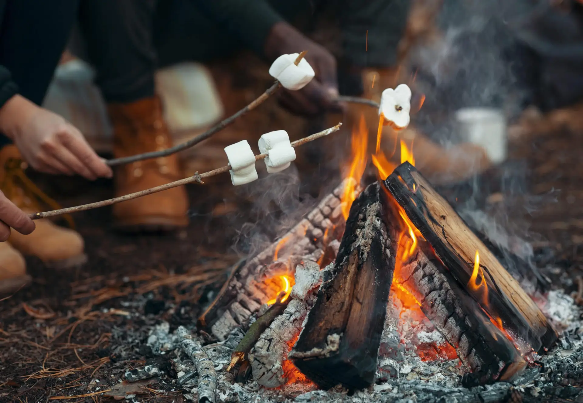 a person holding marshmallows over a campfire